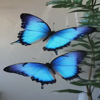 aesthetic blue butterfly