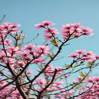 spring iphone wallpaper