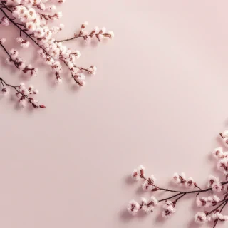 spring wallpaper phone