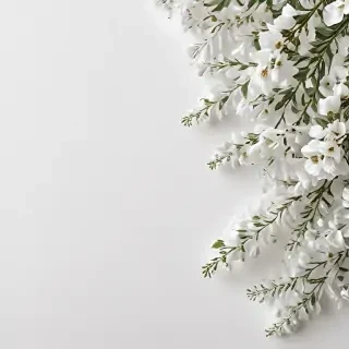 white background aesthetic