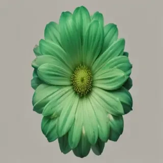 green flower png