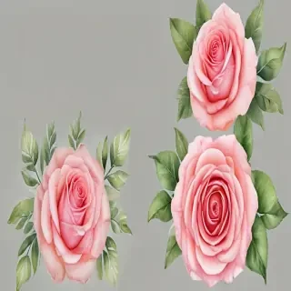 watercolor roses png
