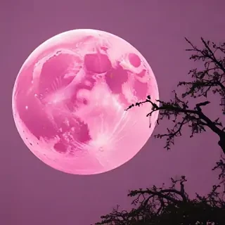 pink moon wallpaper