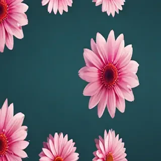 wallpaper hd
