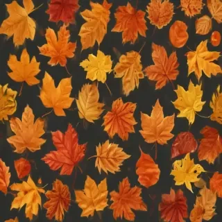 fall leaves png transparent
