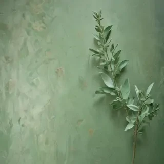 sage green backround