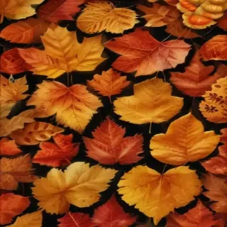 autumn leaf png