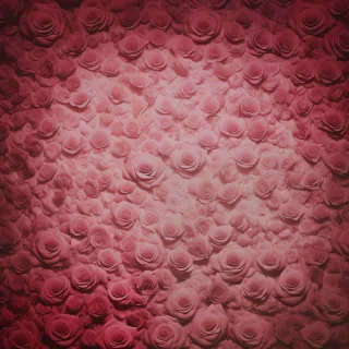 aesthetic rose background