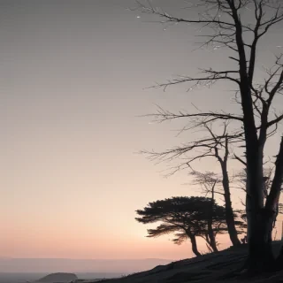 minimal aesthetic wallpaper
