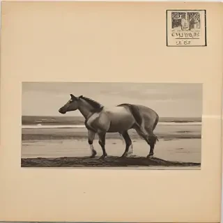 postcard png