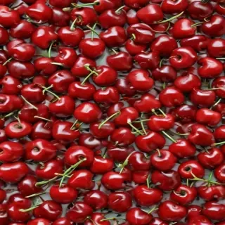 cherry png
