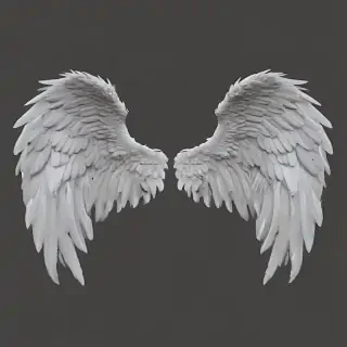 angel wings transparent background