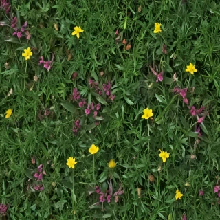weeds png