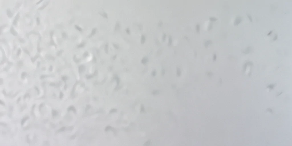 transparent paper texture