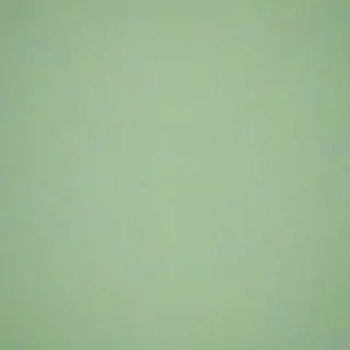 light sage green background