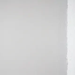 white grey background