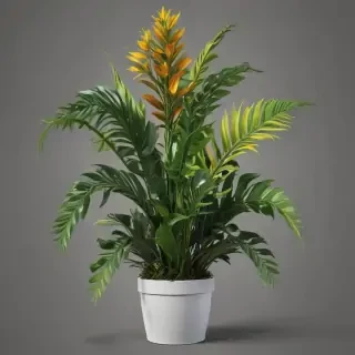 plant png clipart