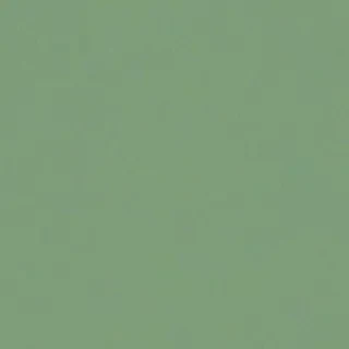 sage green bg