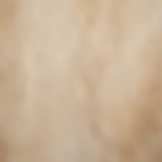 worn paper texture
