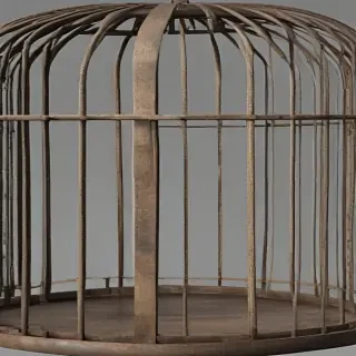 cage png