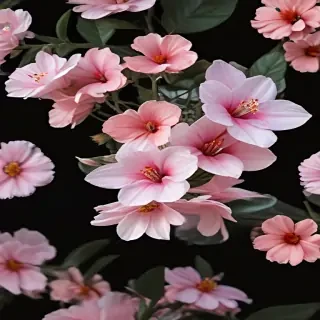 flowers png aesthetic