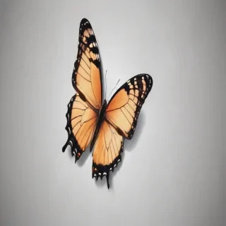pictures of butterflies to draw