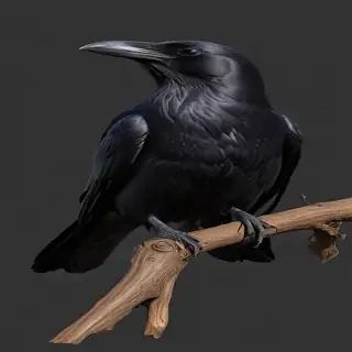 raven png