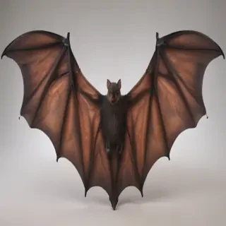 bat wings png
