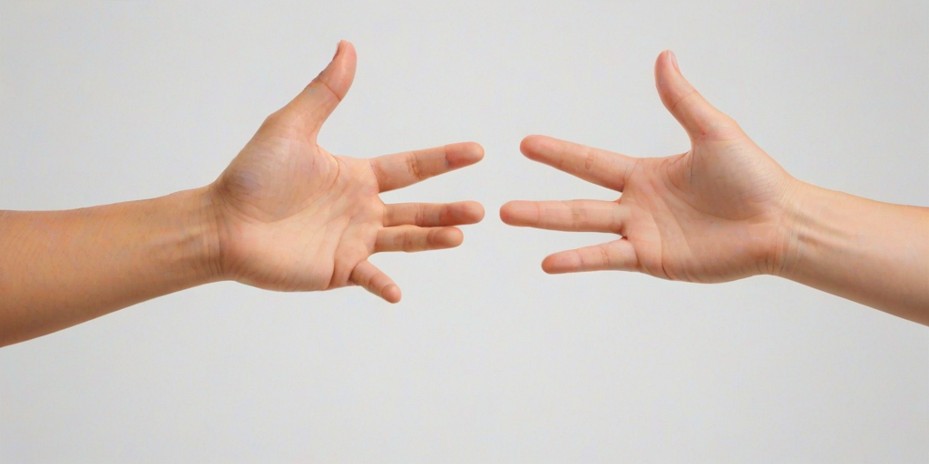 open hands png