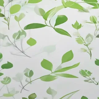 background white and green