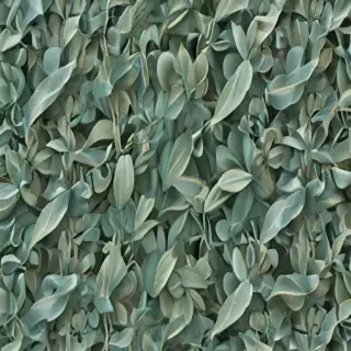 sage green aesthetic