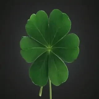 4 leaf clover png