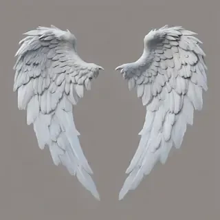 angel wings png