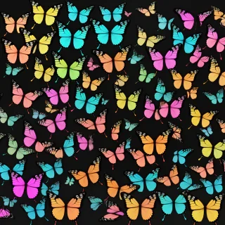 butterfly desktop backgrounds wallpapers