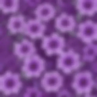 background flower purple