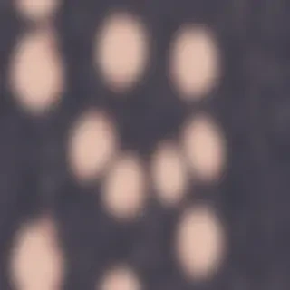 booty backgrounds