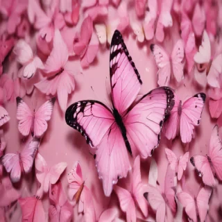 pink butterflies aesthetic