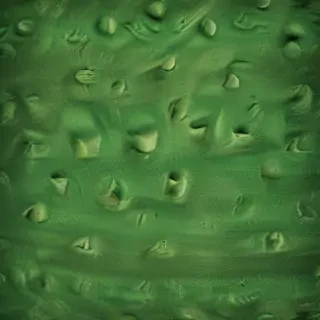 green textures