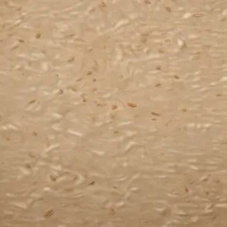 grain paper texture