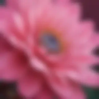 wallpapers pink iphone
