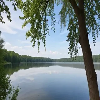 picture of lake