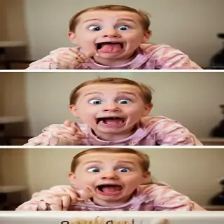 funny photos