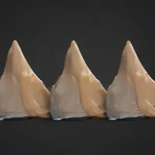 shark fin png