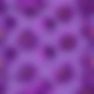 purple flowers background