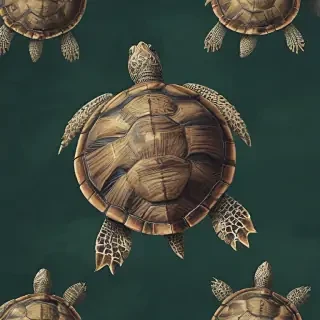 turtle backgrounds