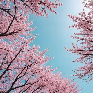 spring backgrounds aesthetic
