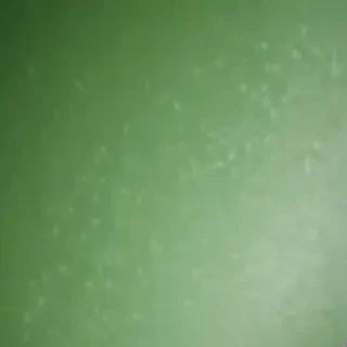 green fade background