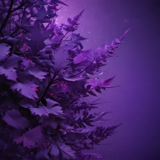 aesthetic purple backgrounds