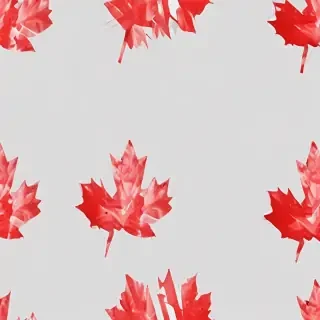 canada flag transparent