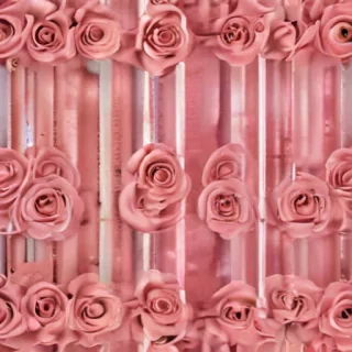 aesthetic rose background